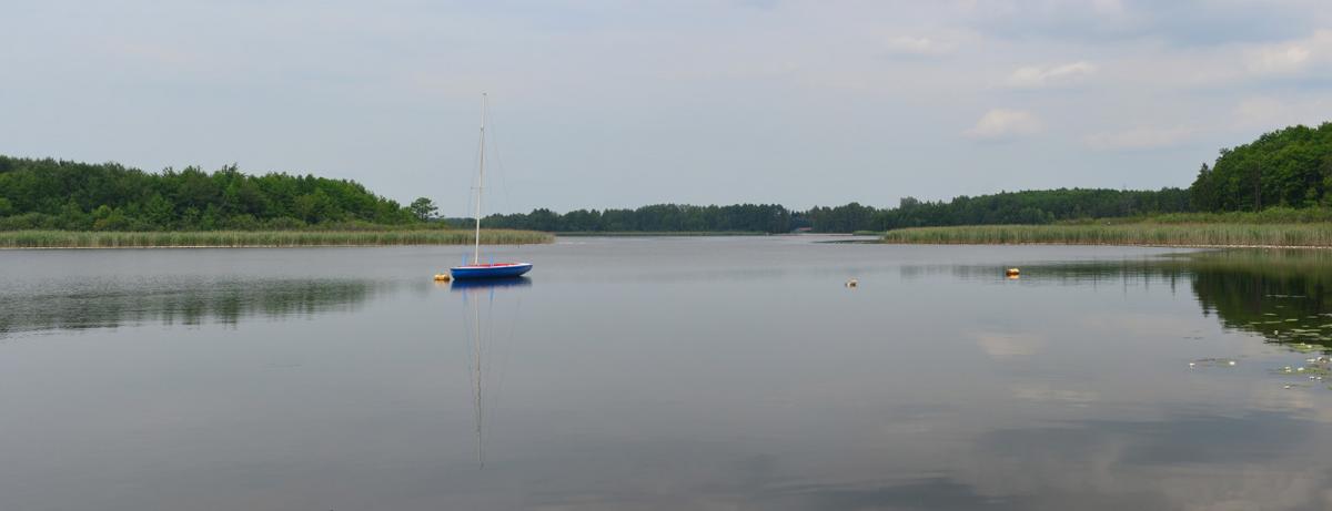 Jezioro Łukcze na Równinie Łęczyńsko-Włodawskiej