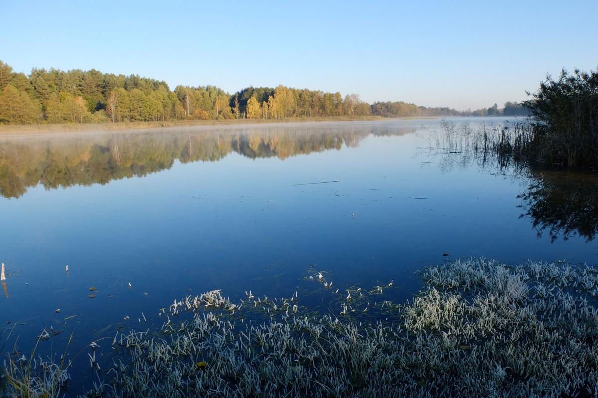 Jezioro Fręcki od strony Dębówka